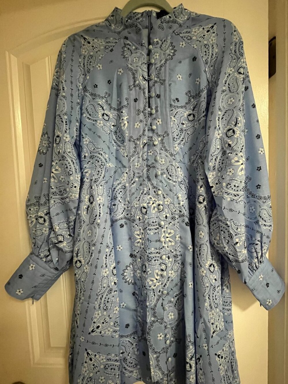 Blue Paisley Dress